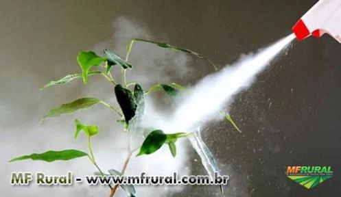 Adubo foliar hortaliÇas Imagem Adubo foliar hortaliÇas