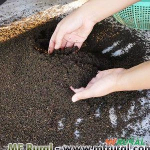 ADUBO FOLIAR PARA ORQUÍDEA EM MANUTENÇÃO Imagem ADUBO FOLIAR PARA ORQUÍDEA EM MANUTENÇÃO