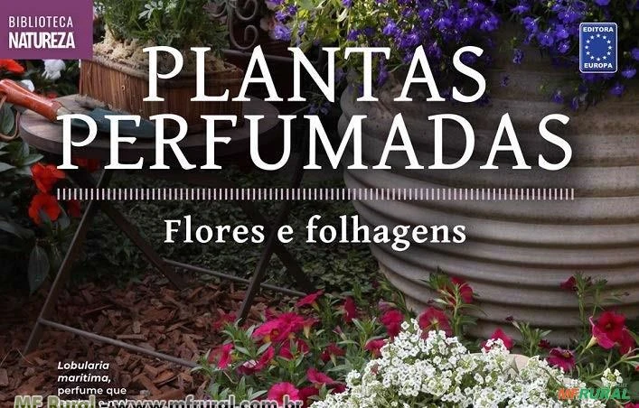 Coleção Plantas Perfumadas - 1 Flores e Folhagens
