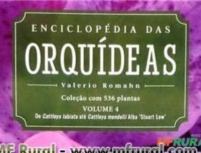 Enciclopédia das Orquídeas - Volume 4