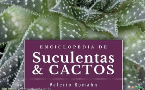 Enciclopédia de Suculentas & Cactos - Volume 2