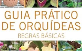 Guia Prático de Orquídeas: 1 - Regras Básicas