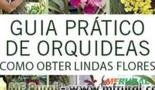 Guia Prático de Orquídeas: 2 - Como Obter Lindas Flores