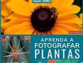 Aprenda a Fotografar Plantas