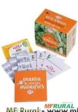 KIT DE SEMENTES "Planta de casa faz milagre Manjerona, Endro e Sálvia"