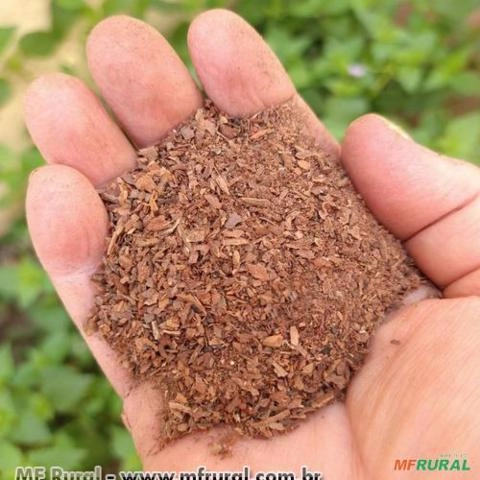 CASCA PINUS PO 1,0 KG UNICA Imagem CASCA PINUS PO 1,0 KG UNICA