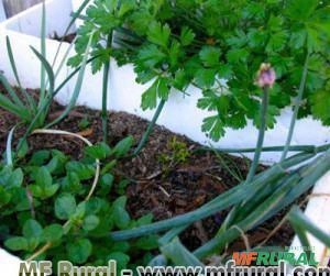 SUBSTRATO PARA HORTAS, POMARES E JARDINS 1,5 KG UN Imagem SUBSTRATO PARA HORTAS, POMARES E JARDINS 1,5 KG UN