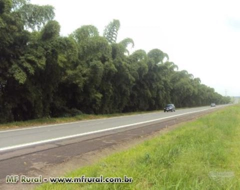 Imagem FECHANDO GRADES ESPAÇOS, A MELHOR SOLUÇÃO! Imagem FECHANDO GRADES ESPAÇOS, A MELHOR SOLUÇÃO!