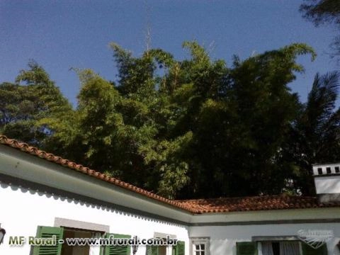 Imagem FECHANDO GRADES ESPAÇOS, A MELHOR SOLUÇÃO! Imagem FECHANDO GRADES ESPAÇOS, A MELHOR SOLUÇÃO!