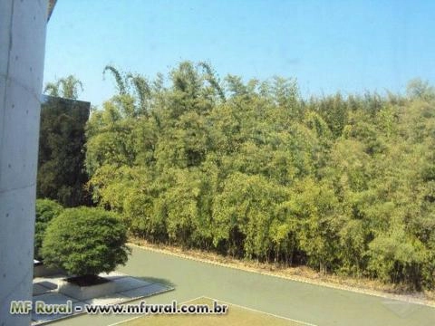 Imagem FECHANDO GRADES ESPAÇOS, A MELHOR SOLUÇÃO! Imagem FECHANDO GRADES ESPAÇOS, A MELHOR SOLUÇÃO!