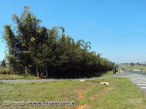 Imagem FECHANDO GRADES ESPAÇOS, A MELHOR SOLUÇÃO! Imagem FECHANDO GRADES ESPAÇOS, A MELHOR SOLUÇÃO!