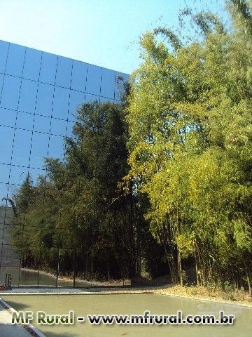 Imagem FECHANDO GRADES ESPAÇOS, A MELHOR SOLUÇÃO! Imagem FECHANDO GRADES ESPAÇOS, A MELHOR SOLUÇÃO!