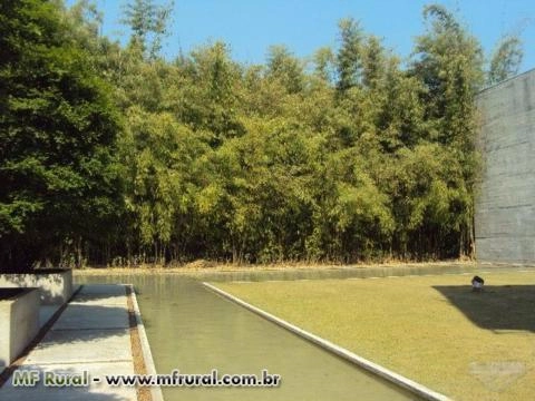 FECHANDO GRADES ESPAÇOS, A MELHOR SOLUÇÃO! Imagem FECHANDO GRADES ESPAÇOS, A MELHOR SOLUÇÃO!