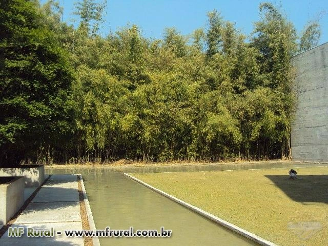 FECHANDO GRADES ESPAÇOS, A MELHOR SOLUÇÃO! Imagem FECHANDO GRADES ESPAÇOS, A MELHOR SOLUÇÃO!