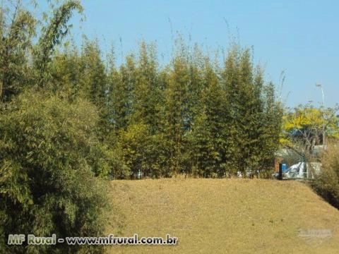 Imagem FECHANDO GRADES ESPAÇOS, A MELHOR SOLUÇÃO! Imagem FECHANDO GRADES ESPAÇOS, A MELHOR SOLUÇÃO!