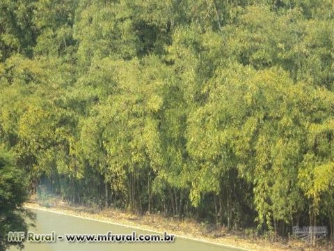 Imagem FECHANDO GRADES ESPAÇOS, A MELHOR SOLUÇÃO! Imagem FECHANDO GRADES ESPAÇOS, A MELHOR SOLUÇÃO!