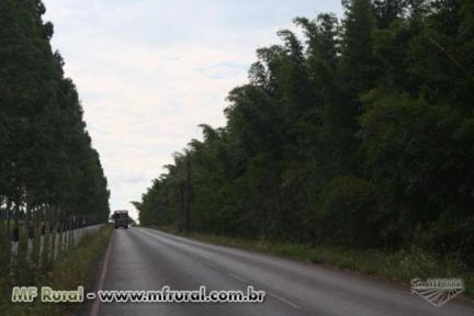Imagem FECHANDO GRADES ESPAÇOS, A MELHOR SOLUÇÃO! Imagem FECHANDO GRADES ESPAÇOS, A MELHOR SOLUÇÃO!