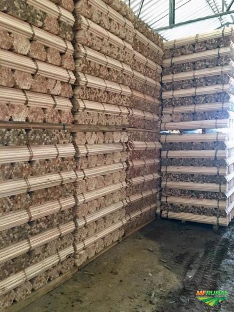 Cabos de Vassoura Eucalipto 1,20m Imagem Cabos de Vassoura Eucalipto 1,20m