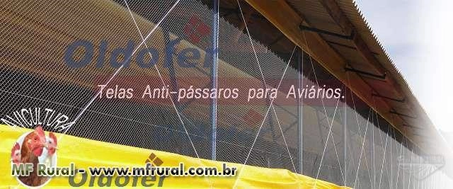 TELA GALVANIZADA PARA AVIÁRIOS MALHA 2 CM COM ARAME N° 18 Imagem TELA GALVANIZADA PARA AVIÁRIOS MALHA 2 CM COM ARAME N° 18