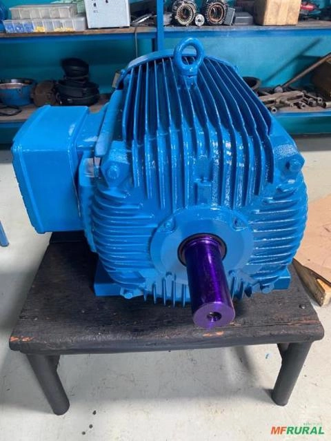 Motor WEG 250CV, com laudo e garantia. Imagem Motor WEG 250CV, com laudo e garantia.