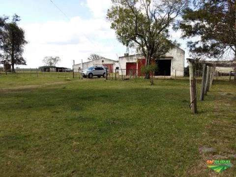 FAZENDA NO URUGUAI - 50KM DE TACUAREMBÓ