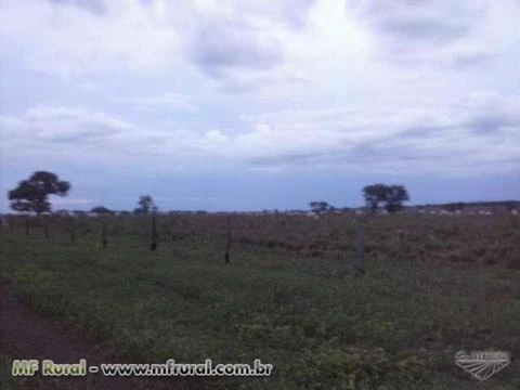 Fazenda de 1.355 hectares (280 alq.) em Abreulândia - To