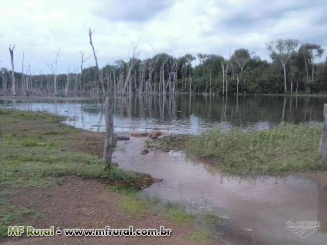 Fazenda de 1.355 hectares (280 alq.) em Abreulândia - To