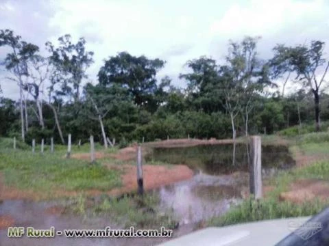 Fazenda de 1.355 hectares (280 alq.) em Abreulândia - To