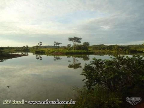Fazenda de 1.580 hectares ( 326,45 alq.) na região de Pedro Afonso-TO