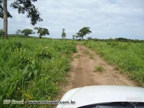 Fazenda de 1.580 hectares ( 326,45 alq.) na região de Pedro Afonso-TO