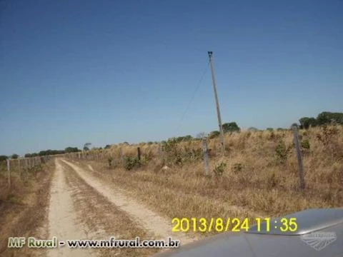 Fazenda de 1.597 hectares ( 330 alq.) Abreulândia-To