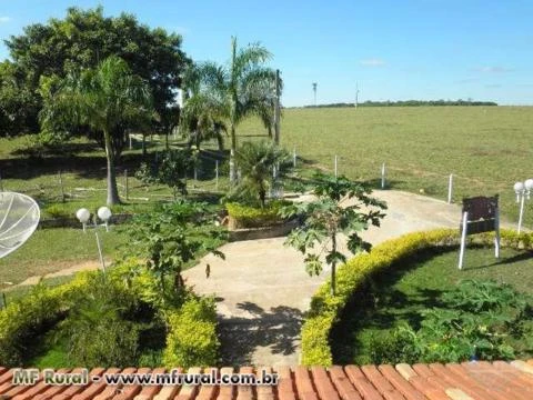 Fazenda de 12 alq. (60 há.) na região de Santa Bárbara de Goiás cod.249