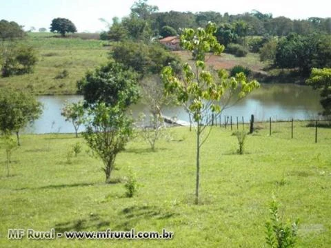 Fazenda de 12 alq. (60 há.) na região de Santa Bárbara de Goiás cod.249