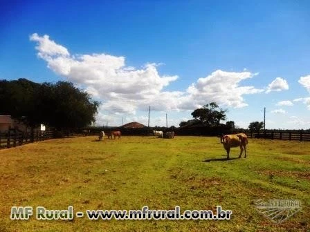 Fazenda de 430 alq.(2.081 há.) em Araguapaz-Go