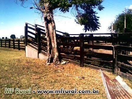 Fazenda de 430 alq.(2.081 há.) em Araguapaz-Go