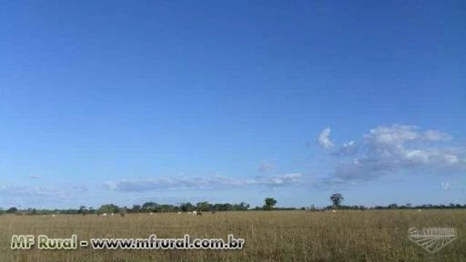 Fazenda de 1577 alq.  (7.632 ha)  em Araguaçu-To