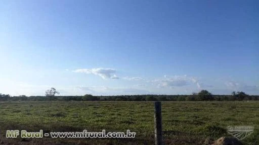 Fazenda de 1577 alq.  (7.632 ha)  em Araguaçu-To