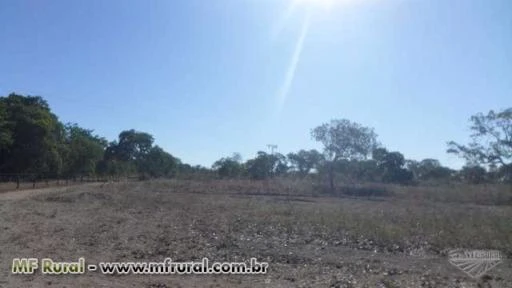 Fazenda de 130 alq.(629 ha.) em Santa Rita do Tocantins-To