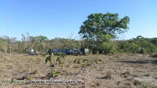 Fazenda de 130 alq.(629 ha.) em Santa Rita do Tocantins-To