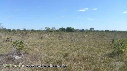 Fazenda de 181 alq. (876 ha.) em Santa Rita Tocantins To