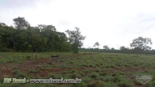 Fazenda de 426 alq.(2.062 ha.) Marianópolis To