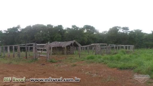 Fazenda de 426 alq.(2.062 ha.) Marianópolis To