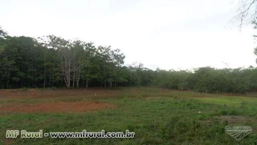 Fazenda de 426 alq.(2.062 ha.) Marianópolis To