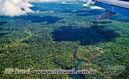 Venda de áreas no Amazonas, Pará, Tocantins, Maranhão e Goiás para reserva legal