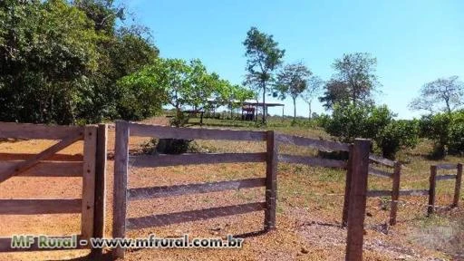 Fazenda de 200 alqueires (677,6 ha.) em Divinópolis-To