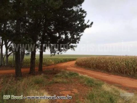 Fazenda 365 alq.(1.766 há.) na região de Rio Verde - Go