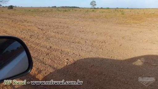 Arrendamento para lavoura de soja na região de Aliança do Tocantins