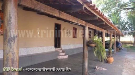 Fazenda de 8 alqueires em Trindade – Goias