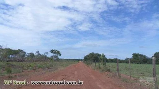 Fazenda de 370 alq. (1.790 ha.) Em Abreulândia-To