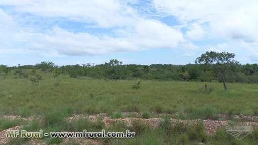 Fazenda de 370 alq. (1.790 ha.) Em Abreulândia-To